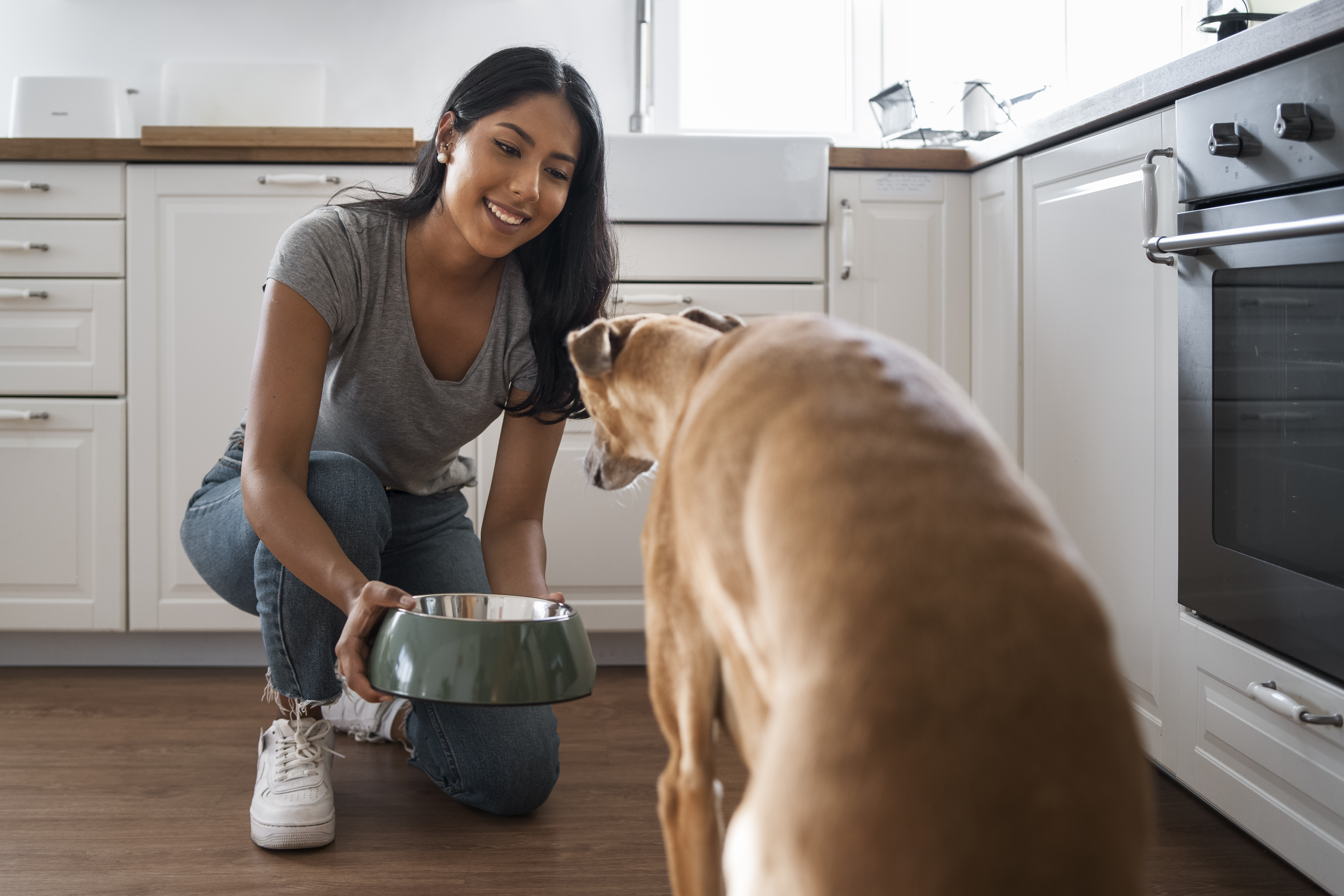 Happy dog with fresh food